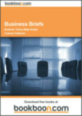 Budiness Briefs : Business Theory Made  Simple