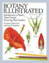 Botany illustrated: introduction to plants, major groups, flowering plant families