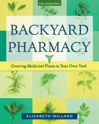 Backyard Pharmacy: Growing Medicinal Plants in Your Own Yard