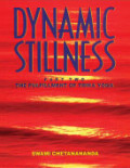 Dynamic Stillness