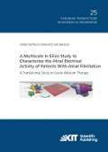 A Multiscale In Silico Study to Characterize the Atrial Electrical Activity of Patients With Atrial Fibrillation: A Translational Study to Guide Ablation Therapy