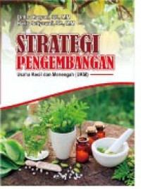 Strategi Pengembangan Bisnis UKM