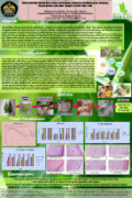 Efek Pemberian Ekstrak Etanol Daun Jati Belanda (Guazuma ulmifolia lamk.) terhadap Penyembuhan Luka Bakar Derajat IIA pada Tikus Putih