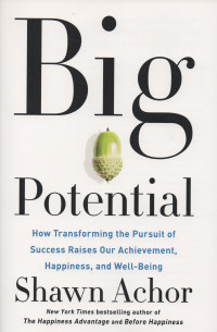 Big Potential : How Transforming the Pursuit of Success Raises Our Achievement, Happiness, and Well-Being