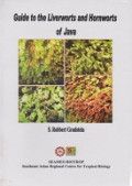 Guide to the Liverworts and Hornworts of Java